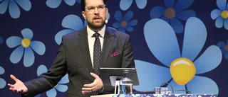 Åkesson borde lyssna på sina egna råd