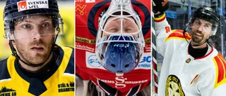 40 frågor om VIK – läs chatten med VT:s hockeyreporter