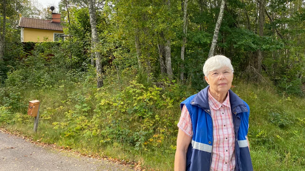 Marie-Louise Hedberg bor i Falsterbo, mellan Hjorted och E22, inte långt från den plats där de stora hundarna sågs.