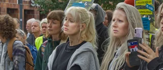 De vill rädda skogen från kalhyggen
