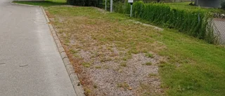 Nu håller grusad parkeringsplats på att växa igen