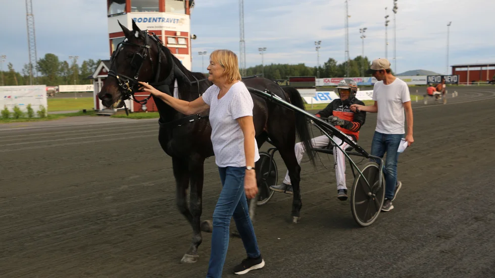 Skellefteåamatören Ann Christine Lundgrens lyckoköp Muscle Man Boko vann ett 4-årslopp i Boden. Brorsan Ove A Lindqvist satt i sulkyn. Ove A som även öppnade V64-spelet med en skrälldubbel, Kempebra och Favourite Law..