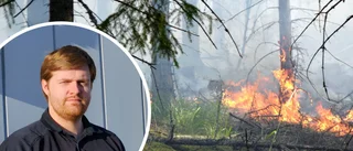 Rekord för skogsbränder ifjol – så här ser det ut i år