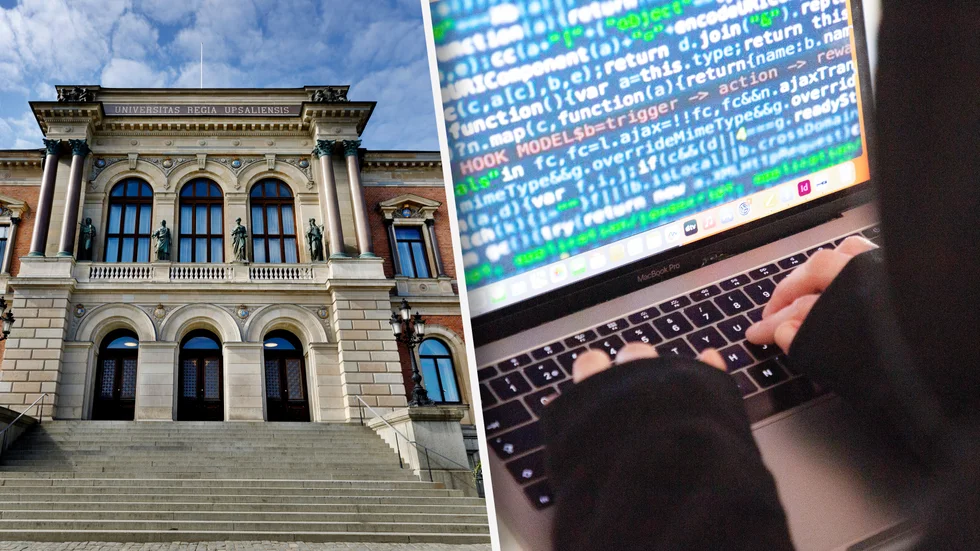 Läckan kan göra framtida attacker mer skadliga, uppger universitetets it-direktör Lisbet Holmberg Stark.