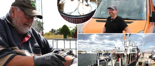 Svårt att fånga flundror – hur mår fisken utanför Gotland?