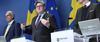 Tidöpartierna: Straffrätten ska ses över