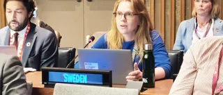 På FN-konferens utmärkte sig Sverige: "Vi har åstadkommit saker"