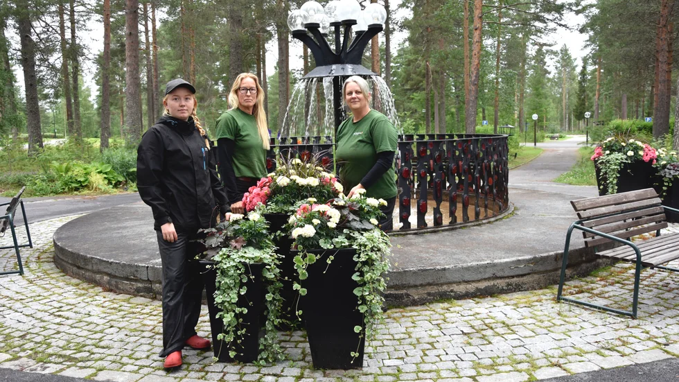 Elina Johsund, Susann Enstedt Lund och Debbie Scott i minneslunden. Tre sådana här planteringar, som de i bild, har stulits därifrån.