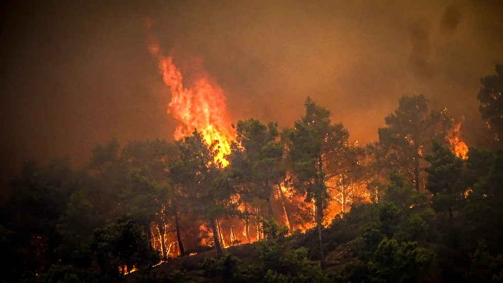 Omfattande skogsbränder rasar sedan flera dagar på den grekiska ön Rhodos. Arkivbild.