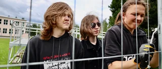 Trästockfestivalen and the 100 volunteers