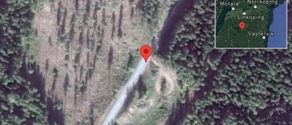 Problem i trafiken efter nedfallna träd