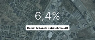 Kamin & Kakel i Katrineholm AB bland de bästa i branchen i Katrineholms kommun 2022