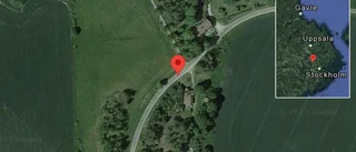 Träd över vägen skapar problem i trafiken på väg 923