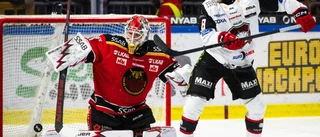 Dramatik på läktaren när LHF föll mot Malmö