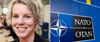 Beskedet: Linköping kan bli nytt tekniknav i Nato