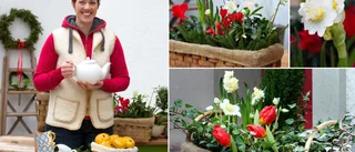 Trädgårdsmästarens tips: Så gör du julfint på trappan