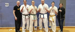 Stora framgångar för Uppsala Karate