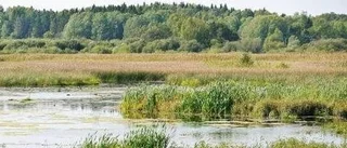 Smultronställe invigt i Tegelsmora