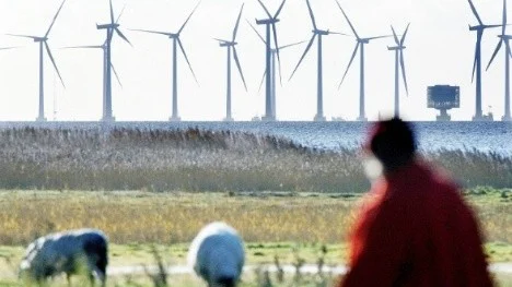 Vindkraftsparken Lillgrund utanför Bunkeflo nära Öresundsbron.