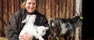 Kandidat nr 6: Britta-Karin Staffansdotter, lantbrukare: "Gården är mitt liv"