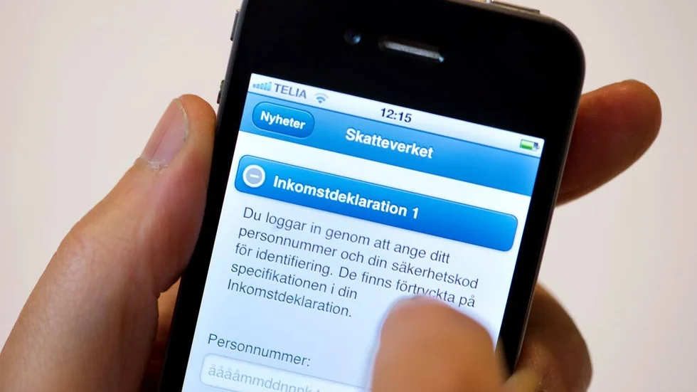 Snabba pengar. Allt fler deklarerar via nätet.