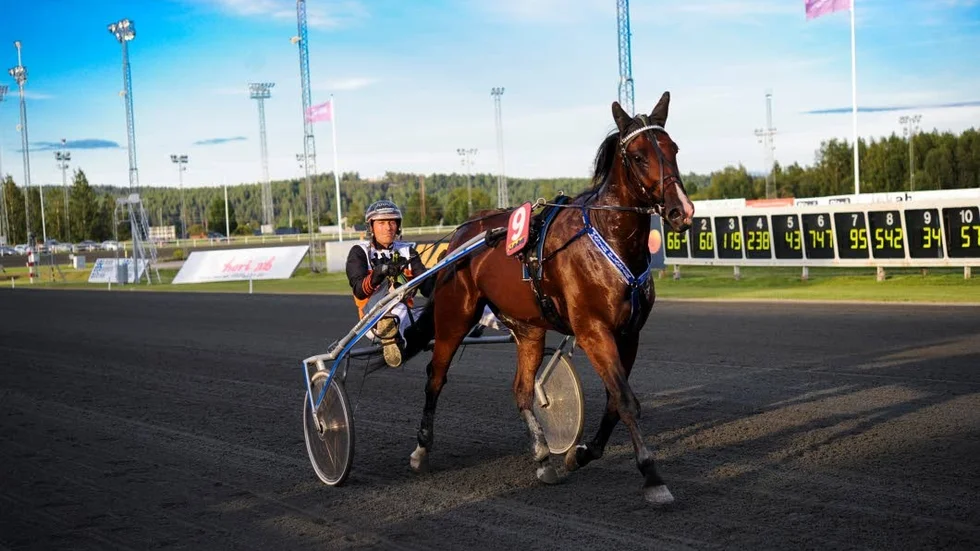 Master Blaster med Ove A Lindqvist i sulkyn fortsätter att vinna. Under V86 i Boden så tog fyraåringen ännu en seger.