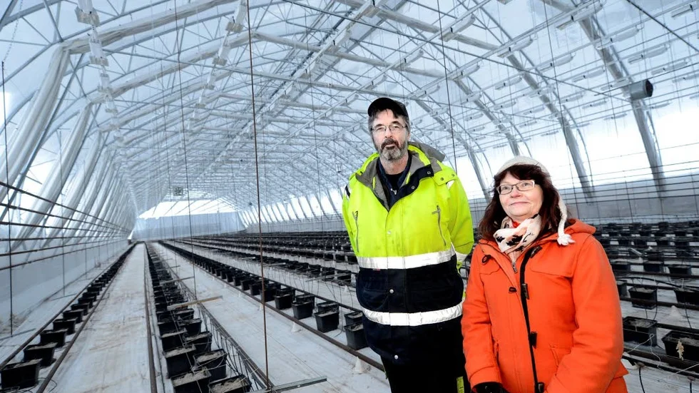 NYSTART. Under två år har tomatodlingen i Nybyn i Överkalix legat i träda. Men nu startas den upp igen av Roger Nilsson och Hjördis Nilsson.