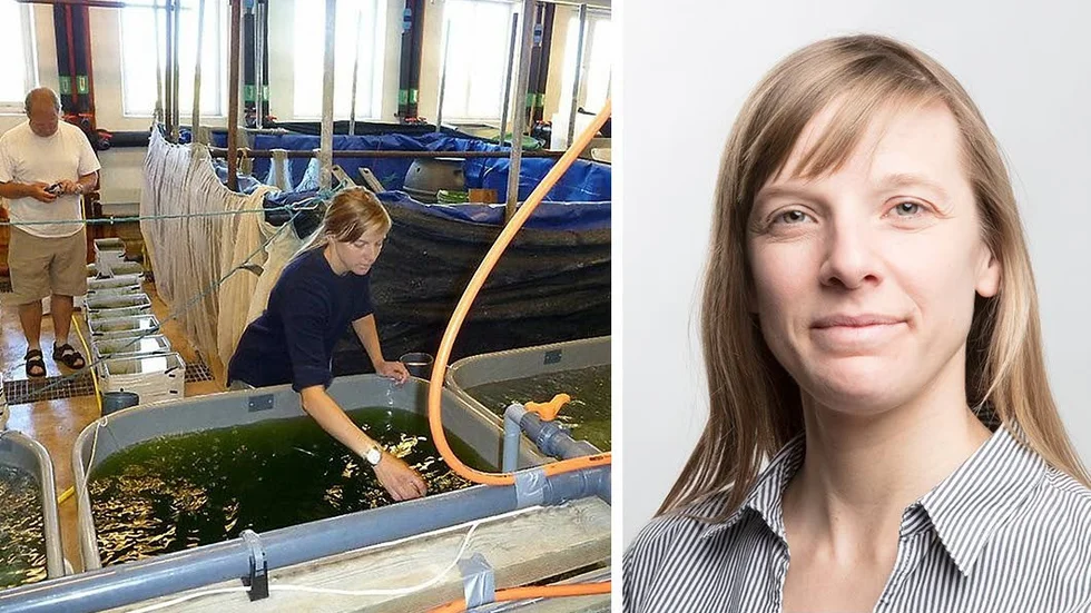 Visselblåsare. Fiskekologen Josefin Sundin var en av anmälarna mot de båda Uppsalaforskarna. Hon fick inte ihop resultaten av studien med sina egna iakttagelser från forskningsstationen där experimenten påstods ha gjorts.