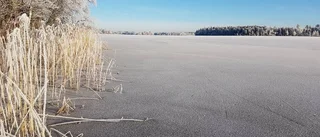 UNT TV: "Det är balsam för själen"