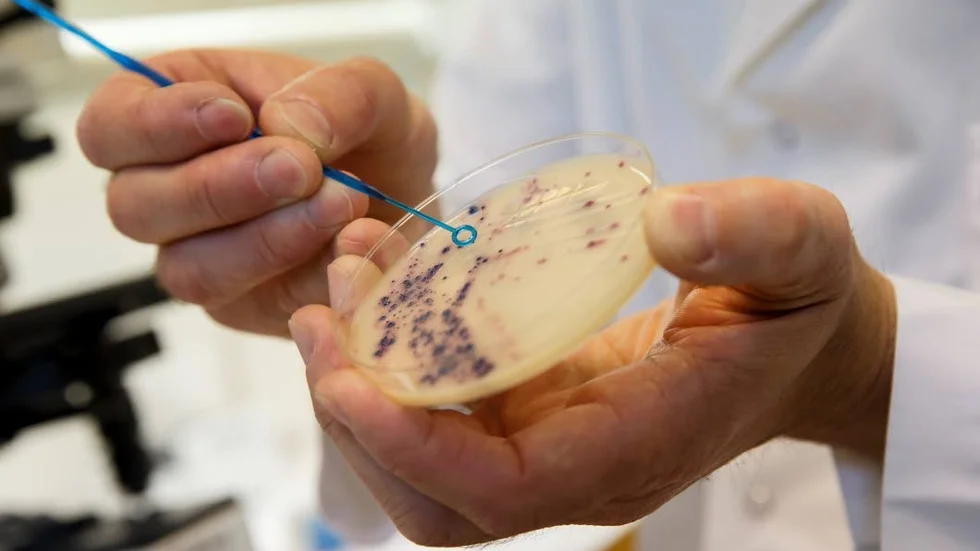 Fara. Antibiotikaresistenta bakterier.