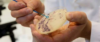 Varning för antibiotika