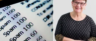 IT-expert: "Väldigt lönsamt för förövarna"