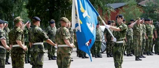 Ensidig bild om Nato-medlemskap