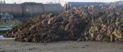 Stinkande avloppsrester byggs in