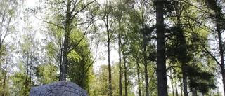 Bind i hop hela Ramsjö!