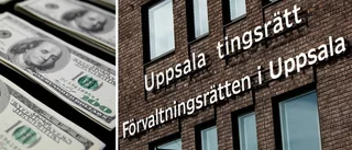 Konstpengar från USA hamnade i Uppland