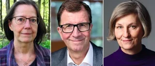 Företagaren får hedersutnämning
