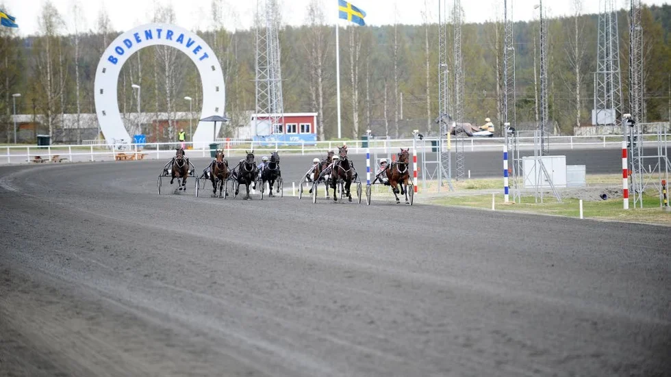 Bodentravet