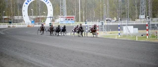 Här är travexpertens tips till premiären