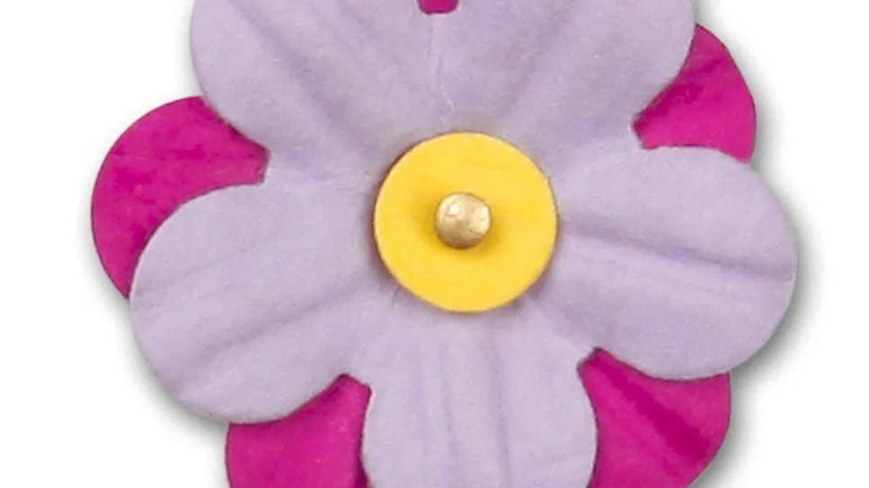 2015. Årets majblomma är hallonrosa och lila.