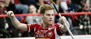 Storvretas dystra svit