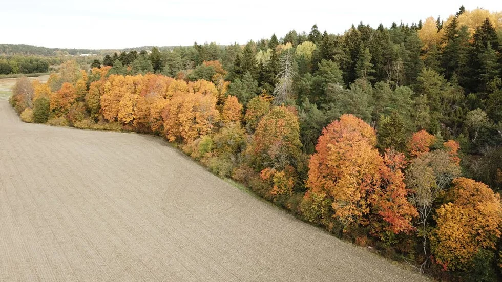Skog som ärvts i generationer har gjorts obrukbar genom fördubbligen av statliga naturreservat, skriver artikelförfattarna.