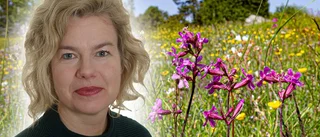 Kan du namnen på blommorna utmed stigen?