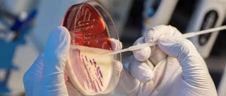 Riskfyllt när antibiotika beställs på nätet