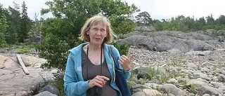 Kritik mot nybygge i Rossholm