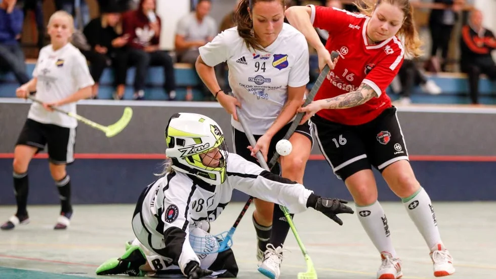 Två... mål stod Fanny Schenning för när EIBK besegrade Falun.