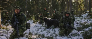 Över 800 nya ansökningar till hemvärnet: "Om jag är i krig då fokuserar jag på vad jag ska göra"