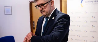 Ambassadören: Låga förväntningar på Lavrov