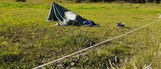 Döda hästar kvar i hagen