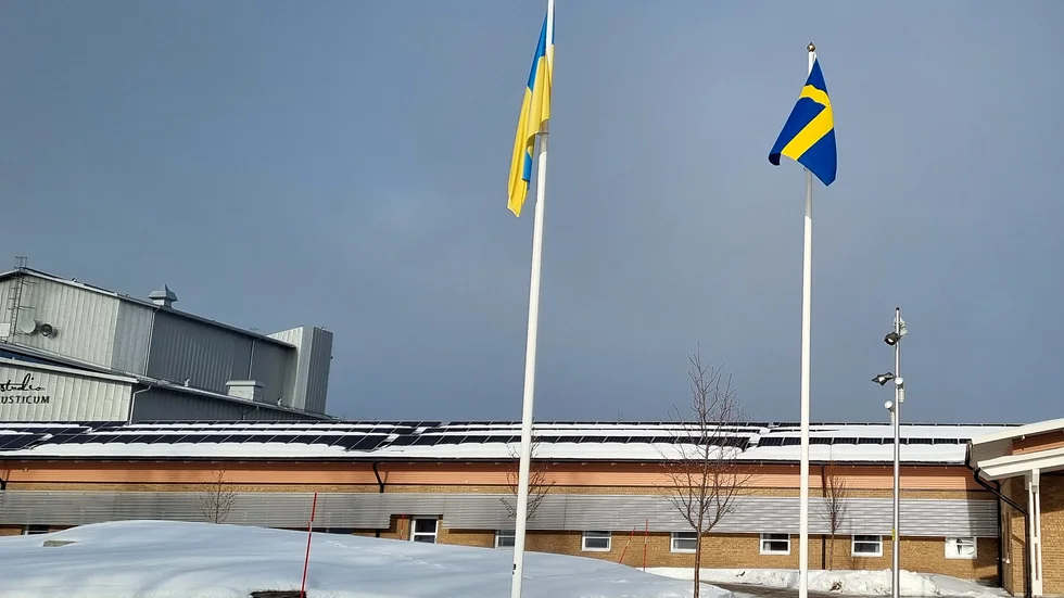 Sveriges och Ukrainas flaggor vid Musikhögskolan i Piteå.